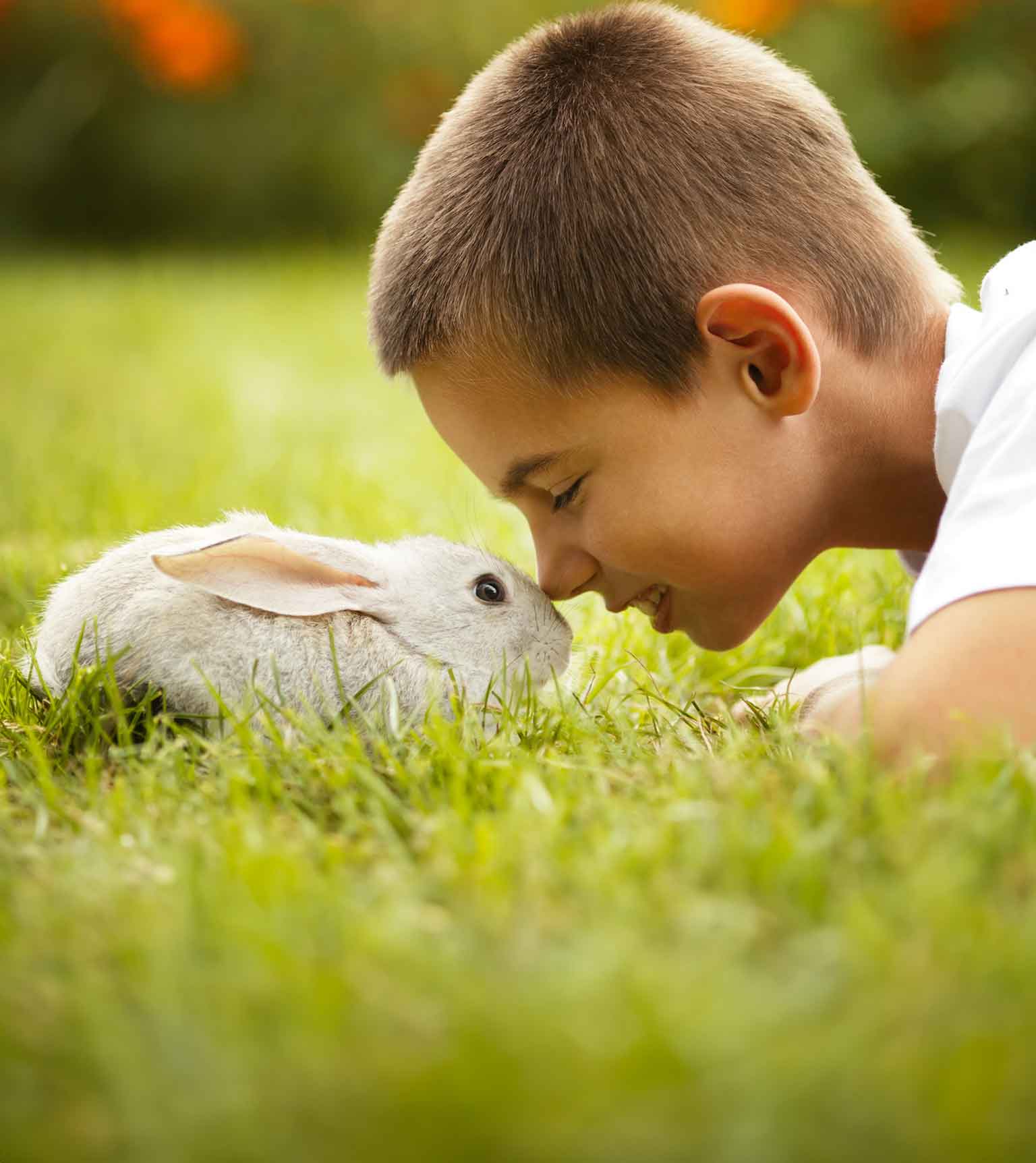 Boy and Bunny