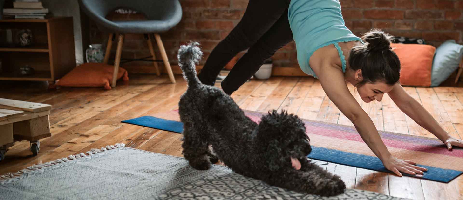 Dog & girl doing yoga  