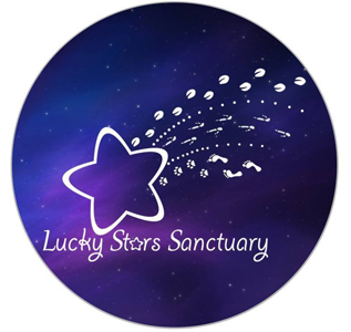 Lucky Stars Sanctuary